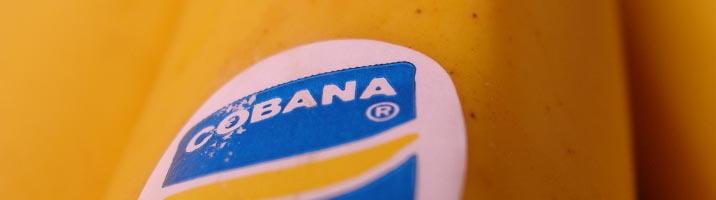 Condè di banane